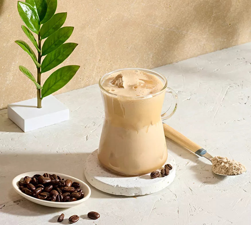 High Protein Iced Coffee (308g) - Latte Macchiatto